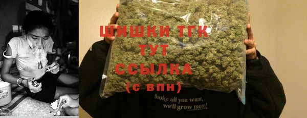 PSILOCYBIN Балахна