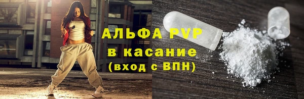 PSILOCYBIN Балахна
