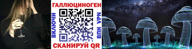 Псилоцибиновые грибы Psilocybine cubensis  MEGA как зайти  Курчалой  что такое  
