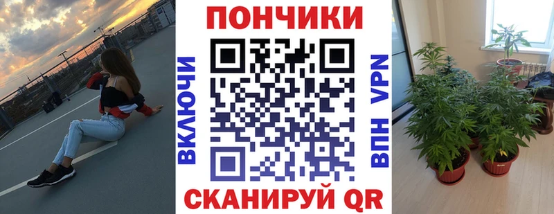 даркнет сайт  мега   Конопля планчик  Курчалой 